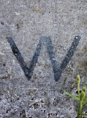 Sıkıntılı Durum Tipografisi ile Yazılan Sözcükler W Harfi Bulundu