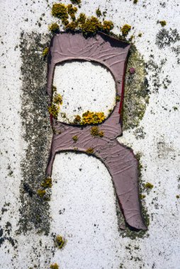 Sıkıntılı Durum Tipografisi ile Yazılan Sözcükler R Harfi Bulundu