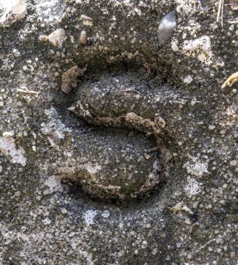 Sıkıntılı Durum Tipografisi ile Yazılan Sözcükler S Harfi Bulundu