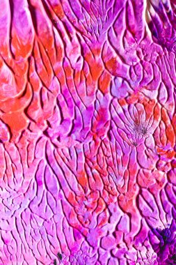 Mürekkep lekeleri Sıçratır ve Çizgiler Akrilik Suluboya Boyama