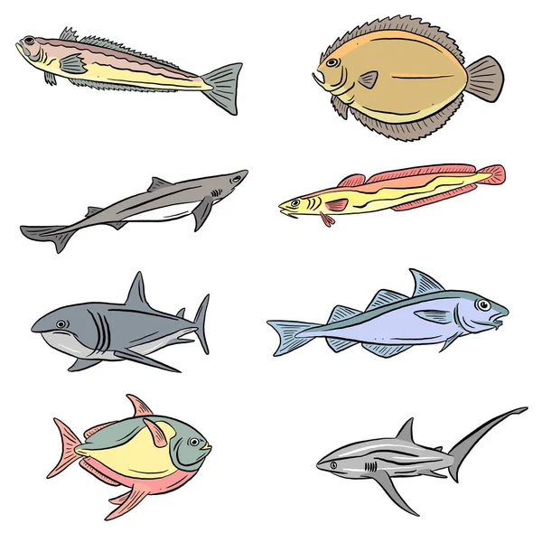 水中の海と淡水魚のサメとウナギの漫画のイラスト Clipart Vector Form Logos — ストックベクタ