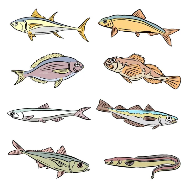 水中の海と淡水魚のサメとウナギの漫画のイラスト Clipart Vector Form Logos — ストックベクタ