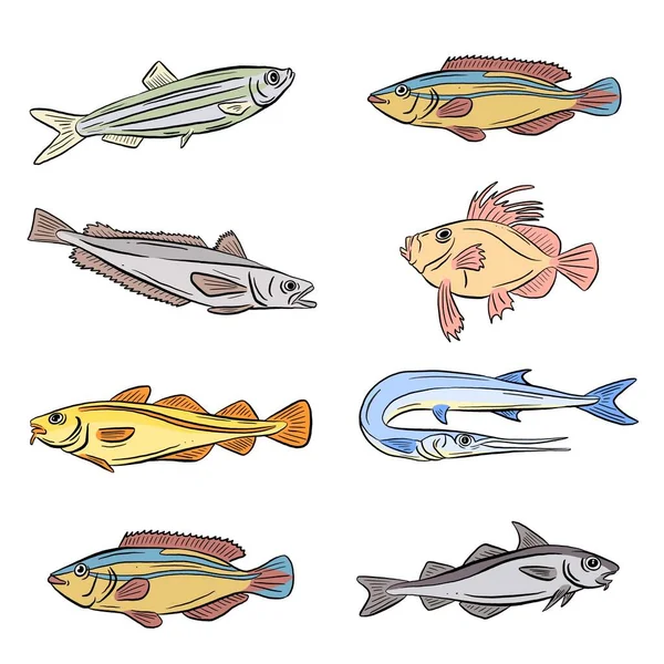 水中の海と淡水魚のサメとウナギの漫画のイラスト Clipart Vector Form Logos — ストックベクタ