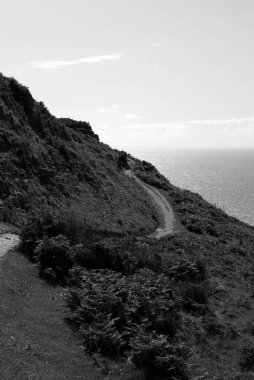 Güney İngiltere Sahili Sahil Kıyısı Güzel Deniz Manzarası İnsansız