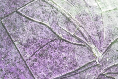 Parçalanmış Ekran Zarar Verilmiş Kırık Cam Kapalı