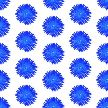 Beyaz arkaplanda soyut Çiçek Karahindiba Deseni