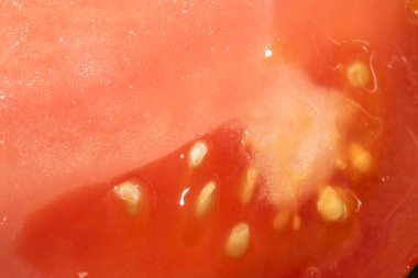 Beyaz Arkaplanda tohumları gösteren soyut Domates Kesimi