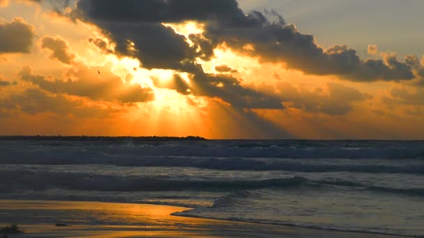 Sonnenaufgang am karibischen Meer in Cancun Mexiko — Stockvideo