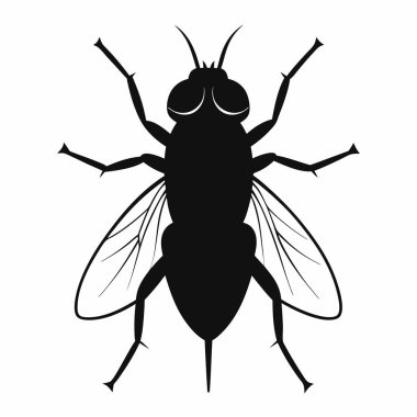 Bir Ev Sineğinin Silueti