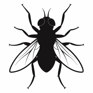 Bir Ev Sineğinin Silueti