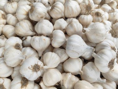 Taze sarımsak soğanları, yığının yakın çekim görüntüsü.