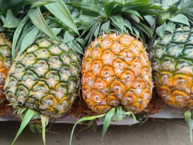 Market Stall 'da organik ananas sergilendi