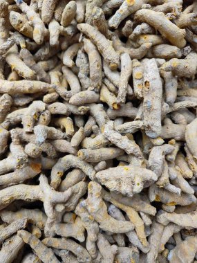 Kurumuş zerdeçal Kökleri Yığını