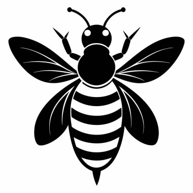 Beyaz Arı Arı Silüeti Vektörü