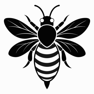  Beyaz Arı Arı Silüeti Vektörü