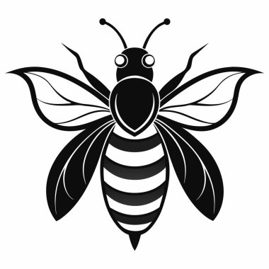 Beyaz Arı Arı Silüeti Vektörü