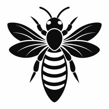 Beyaz Arı Arı Silüeti Vektörü