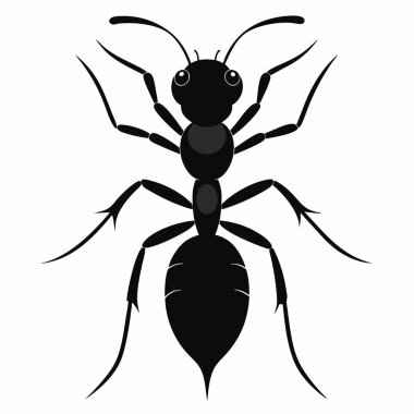Minimalist Böcek Silüeti Karınca Çizimi