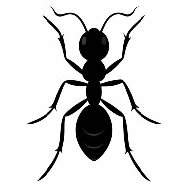  Beyaz Arkaplanda Karınca Silueti İzole Edildi