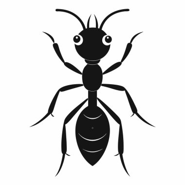  Beyaz Arkaplanda Karınca Silueti İzole Edildi