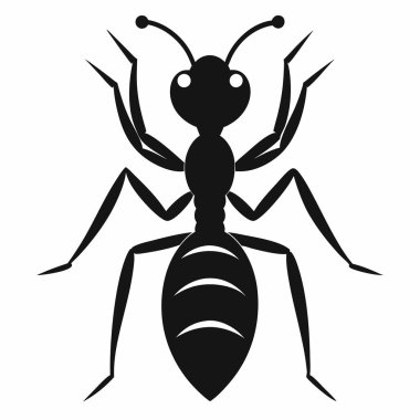 Beyaz Arkaplanda Karınca Silueti İzole Edildi