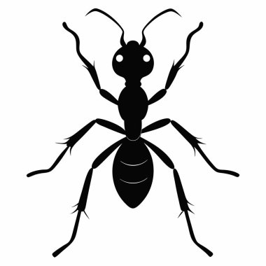  Beyaz Arkaplanda Karınca Silueti İzole Edildi