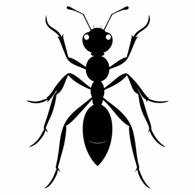  Beyaz Arkaplanda Karınca Silueti İzole Edildi