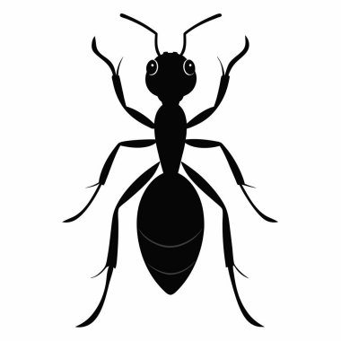  Beyaz Arkaplanda Karınca Silueti İzole Edildi