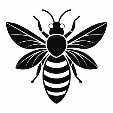 Beyaz Arı Arı Silüeti Vektörü