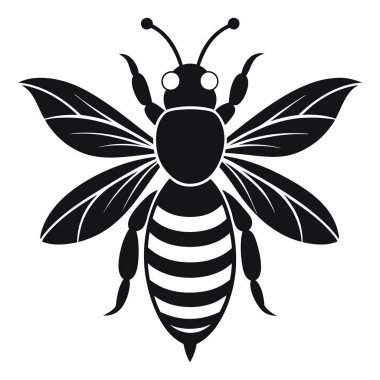 Beyaz Arı Arı Silüeti Vektörü