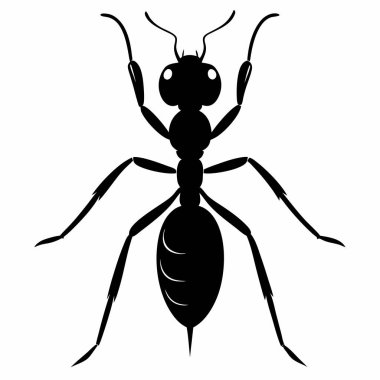 Beyaz Arkaplanda Karınca Silueti İzole Edildi. Siluet Biçimli Siyah Karınca Vektör Simgesi