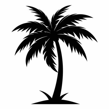 Siluet Palmiye Ağacı: Bir palmiye ağacının minimalist siyah silüeti, tropik dinginlik ve görsel berraklık hissi uyandırıyor.