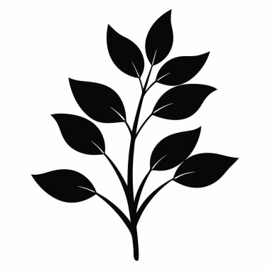 Zarif Yapraklı Şube Silüeti Sanat Tasarımı, Beyaz Arkaplanda İzole Ekin Şube Silüeti