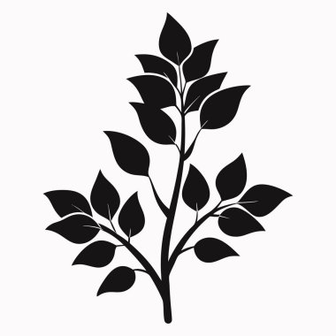 Zarif Yapraklı Şube Silüeti Sanat Tasarımı, Beyaz Arkaplanda İzole Ekin Şube Silüeti