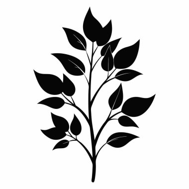 Zarif Yapraklı Şube Silüeti Sanat Tasarımı, Beyaz Arkaplanda İzole Ekin Şube Silüeti