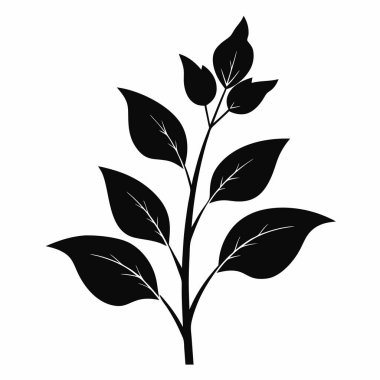 Zarif Yapraklı Şube Silüeti Sanat Tasarımı, Beyaz Arkaplanda İzole Ekin Şube Silüeti