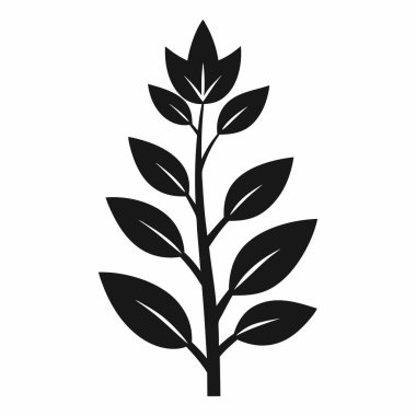 Zarif Yapraklı Şube Silüeti Sanat Tasarımı, Beyaz Arkaplanda İzole Ekin Şube Silüeti