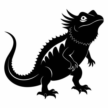  Beyaz arkaplanda iguana