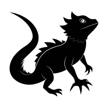  Beyaz arkaplanda iguana