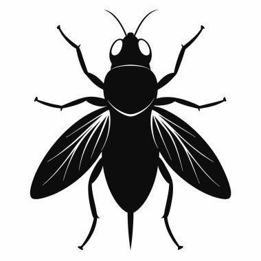 Uçan Siluet Beyaz Arkaplanda İzole Edildi