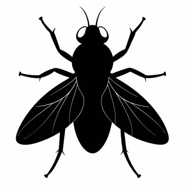 Uçan Siluet Beyaz Arkaplanda İzole Edildi