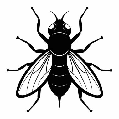 Uçan Siluet Beyaz Arkaplanda İzole Edildi