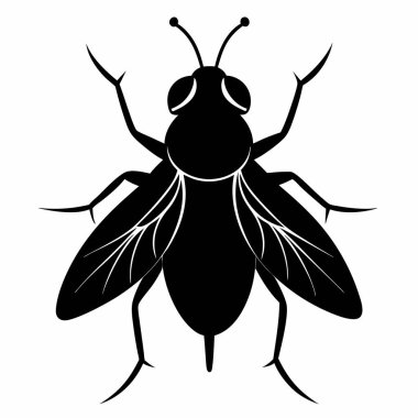 Uçan Siluet Beyaz Arkaplanda İzole Edildi