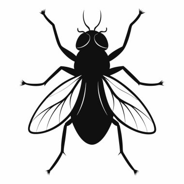 Uçan Siluet Beyaz Arkaplanda İzole Edildi