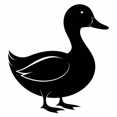 Beyaz arka plan üzerinde izole ördek