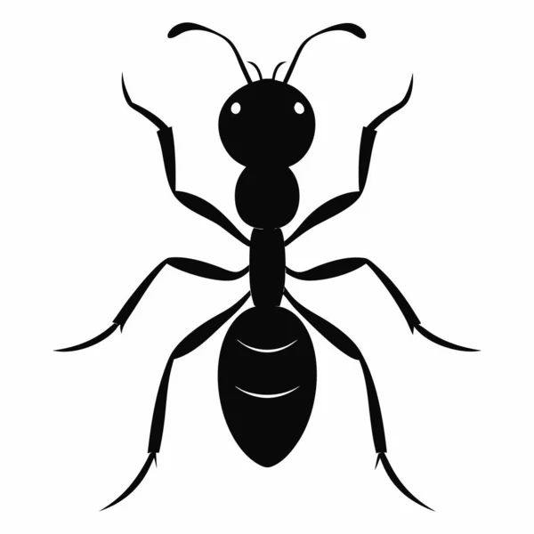  Beyaz Arkaplanda Karınca Silueti İzole Edildi