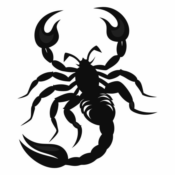 Векторная иллюстрация скорпиона на белом