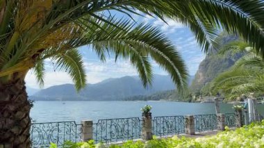 Enjoy the stunning view of Lake Como in Italy, featuring lush palm trees, clear blue water, and majestic mountains under a bright sky. A perfect place for relaxation and natural beauty.