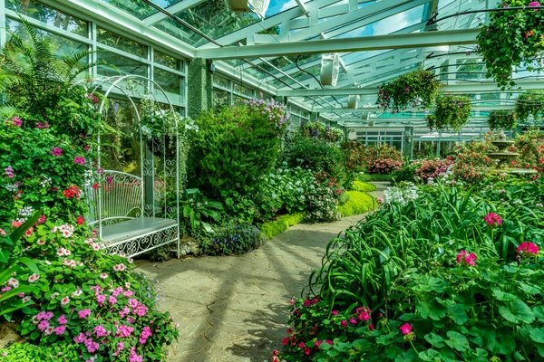 Üvegház Tetőjének Szerkezete Színes Virágokkal — Stock Fotó