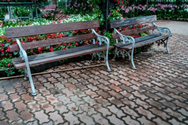 Parkta yeşil bitkiler olan ahşap park bankında